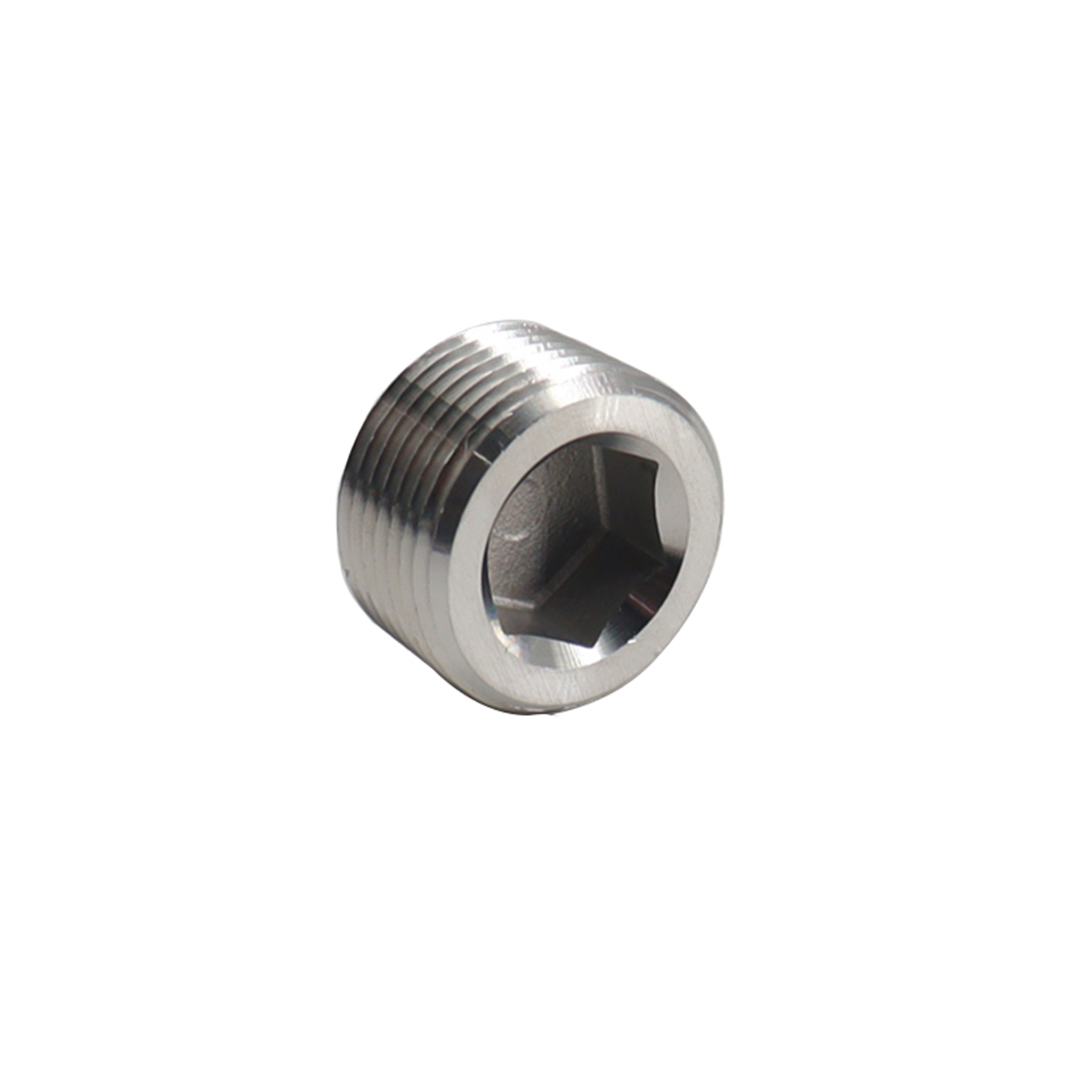 Threaded Hex Socket Plug
